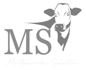 logo-montbeliarde-selection-1